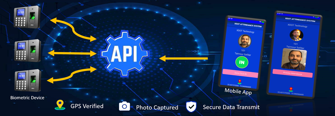 Web API